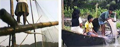 masmaria video images